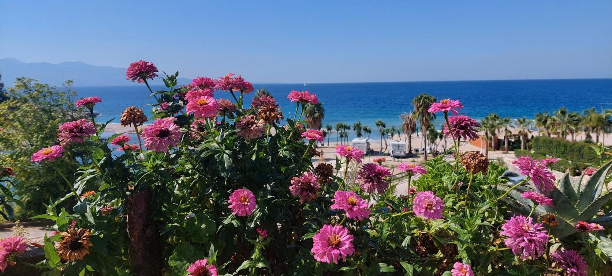 Apartment Tinka In Saranda Экстерьер фото